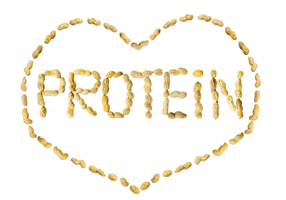 Image result for protein