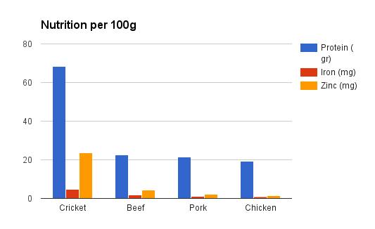 Could Insects be the Protein Source of the Future? - Sports Dietitians ...